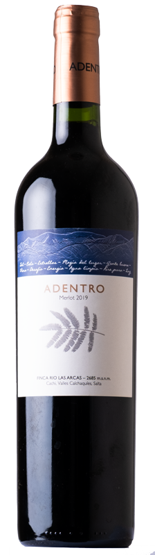 ADENTRO Merlot - Vinos Adentro 2019 - 0.75l Einführungspreis