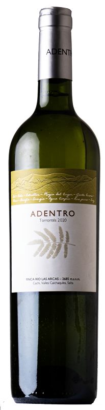 ADENTRO Torrontés - Vinos Adentro 2020 - 0.75l Einführungspreis